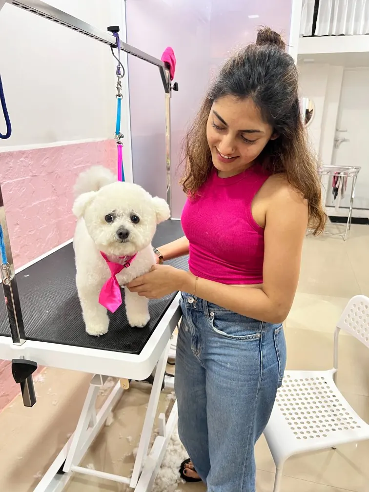 Groomer with a freshly groomed white Bichon Frise at Wag & Groom